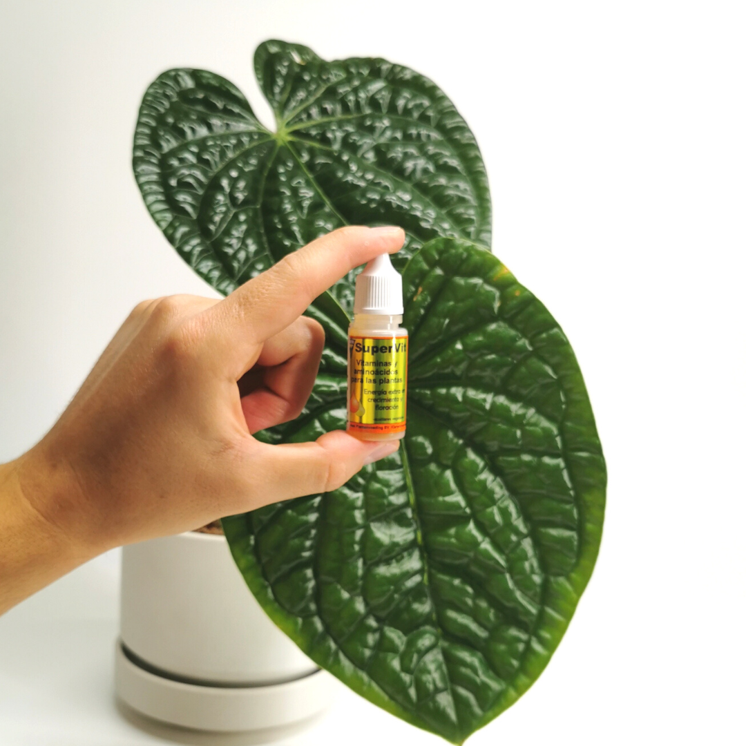Supervit 10 ML - Crecimiento fuerte
