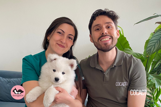 Animales y Plantas: ¿Pueden convivir en el hogar?