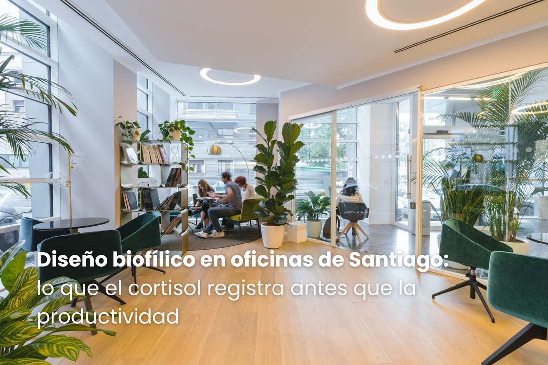 Diseño biofílico en oficinas de Santiago: lo que el cortisol registra antes que la productividad