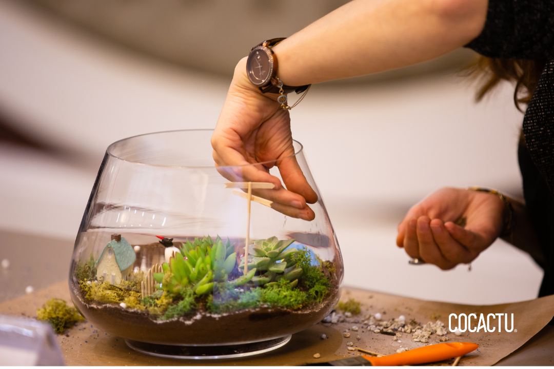 Cómo Hacer un Terrario en Pasos Sencillos