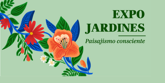 Impacto de las Plantas de Interior en el Bienestar Psicológico