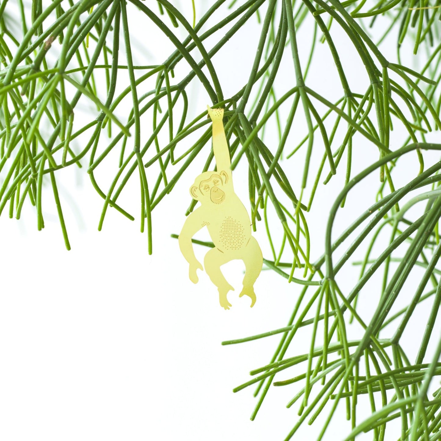 Chimpancé - Plant Animal