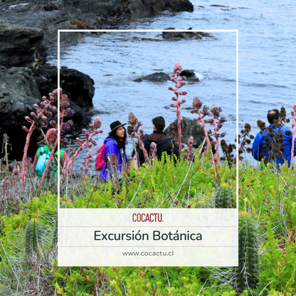Excursión Botánica a Reserva Puquén Los Molles