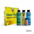 Pack Hesi Interior Exterior 850 ml fertilizantes completos para sustrato orgánico