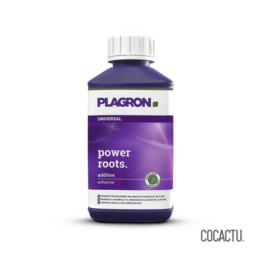Power Roots 250 ml