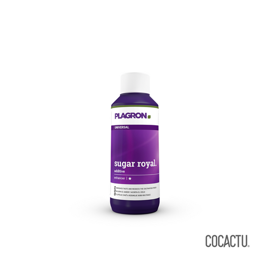 Sugar Royal 100 ml