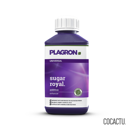 Sugar Royal 250 ml