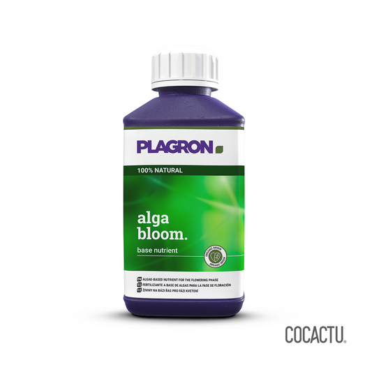Alga Bloom 250 ml