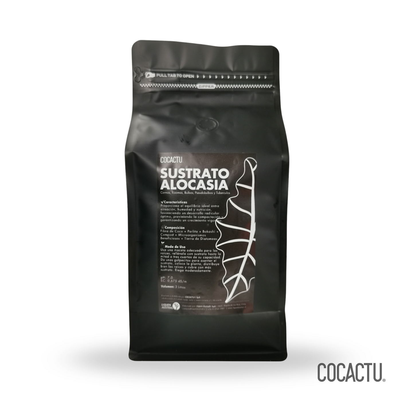 Sustrato Alocasia