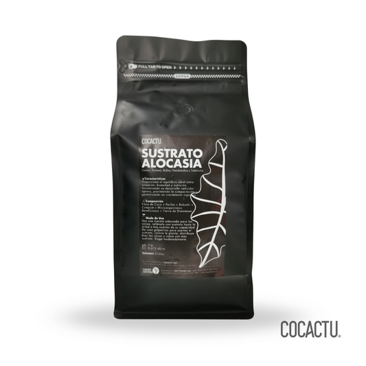 Sustrato Alocasia
