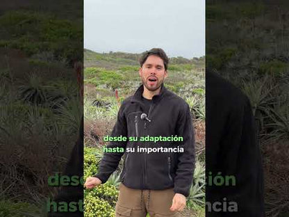Excursión Botánica a Reserva Puquén Los Molles